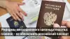 Реформы миграционного законодательства: главное – не обесценить российский паспорт