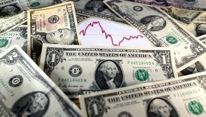 Доллары | REUTERS Dado Ruvic