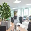 Офисное озеленение: как растения влияют на продуктивность сотрудников