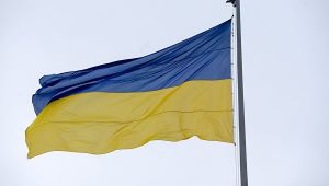 Флаг Украины. Архивн…