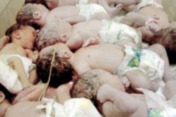 30 новорожденных ара…