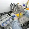 Эпштейн, Зеленский, секретные биолаборатории и незавидная участь Украины. Эксперты и политики о ситуации (РИА Новости . Илья Наймушин / Тест-системы для диагностики нового коронавируса) РИА Новости . Илья Н…
