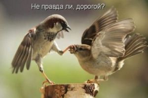 С либеральным монополизмом пора заканчивать С либеральным монопо…