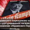 'Задачи украинского национализма на 2018 год': 'структурированное насилие' и установление 'Украинского Порядка'