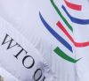 Американское двоемыслие, или Зачем нужна ВТО