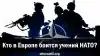 Кто в Европе боится учений НАТО?