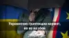 Украинских грантоедов кормят, но не на убой