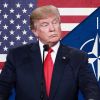 Почему Трамп видит в НАТО только бизнес-проект