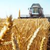 Урожай-2020: Цены на зерно ставят рекорды (Фото: Валерий Матыцин/ТАСС) Фото: Валерий Матыцин/ТАСС